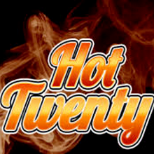 Hot Twenty logo logo