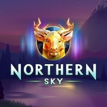 Northern Sky logo logo