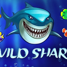 Wild Shark logo